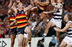 米乐官网入口 - 布莱顿vs南安普顿比分预测分析预测 