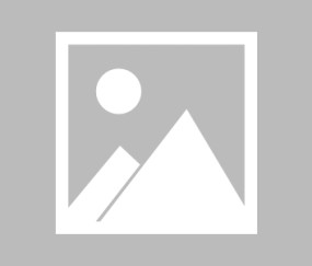 米乐在线入口 -俄克拉荷马雷霆迎欧篮联关键赛，集结日再遭质疑，媒体盛赞，临场指挥获称赞的简单介绍