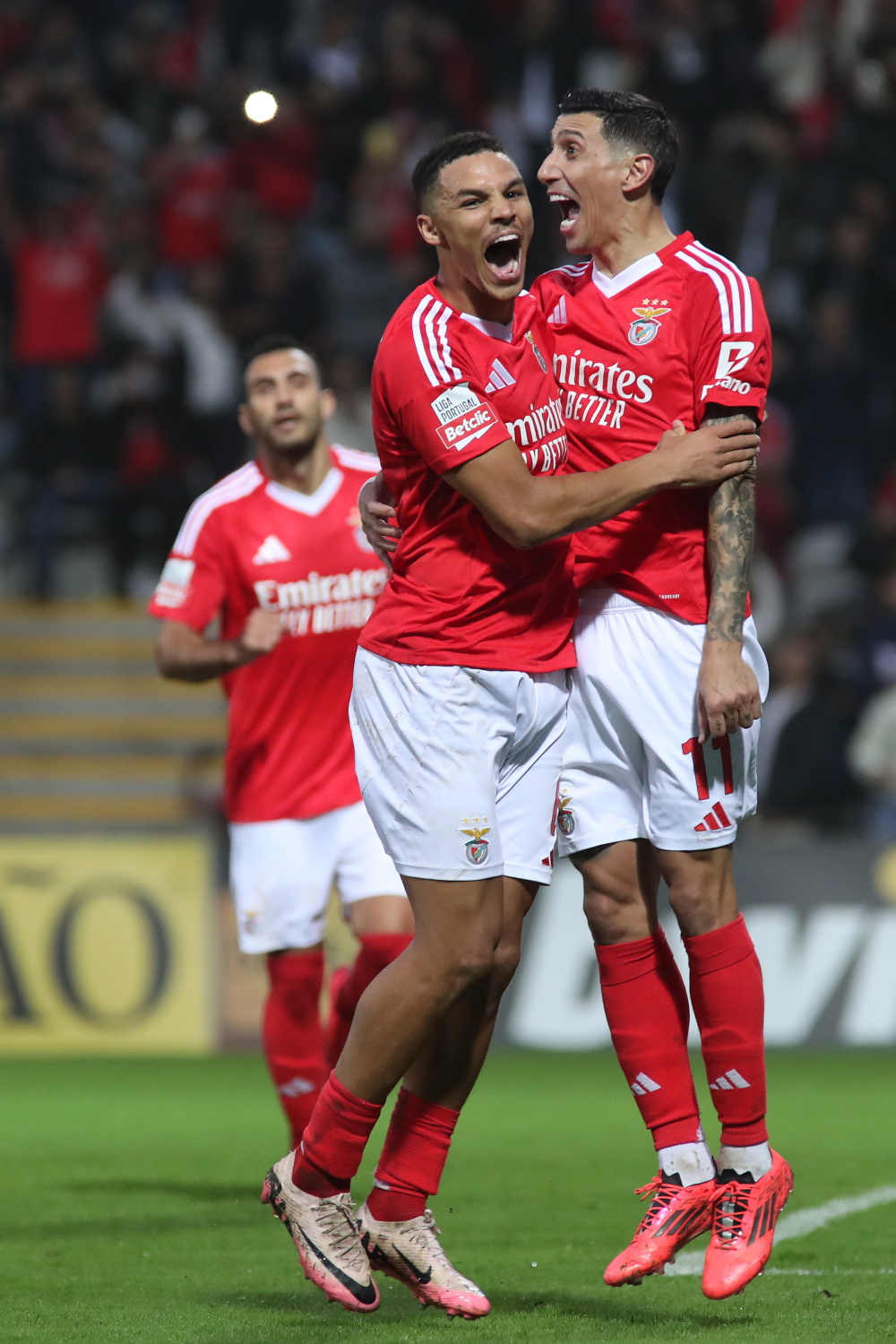 本菲卡迎葡超关键赛,集结日篮板制胜,底气十足,心理建设被强调的简单介绍 本菲卡迎葡超关键赛,集结日篮板制胜,底气十足,心理建设被强调的简单介绍