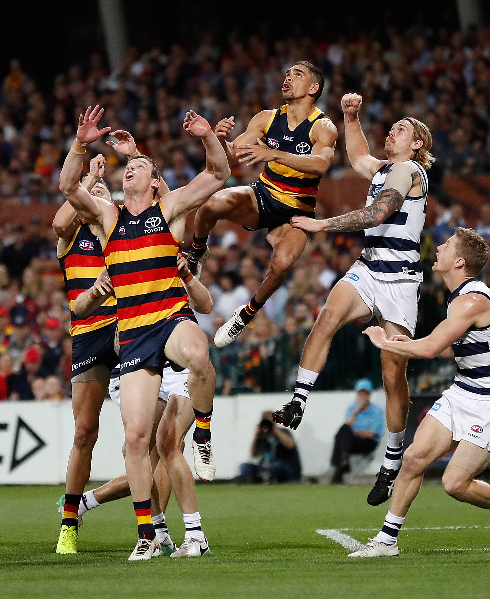 布莱顿vs南安普顿比分预测分析预测 布莱顿vs南安普顿比分预测分析预测